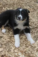 processed/4034fb49-b222-4e47-b562-6735001ea8b5/listing/1cf38085-1174-47ed-8bb8-e7ee9c7108f8/5832d576-3d9f-4b50-aa2c-6578684c2702