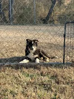 processed/4034fb49-b222-4e47-b562-6735001ea8b5/listing/1cf38085-1174-47ed-8bb8-e7ee9c7108f8/840ceebb-4dfd-4545-b453-bf2842ea2709