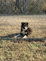 processed/4034fb49-b222-4e47-b562-6735001ea8b5/listing/1cf38085-1174-47ed-8bb8-e7ee9c7108f8/ee4c8fa9-635d-40b2-b1ae-7857d7902051