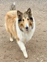 processed/4034fb49-b222-4e47-b562-6735001ea8b5/listing/254a1dd4-b5f2-49d7-8c6e-af1e349005fa/703f5795-157b-41fa-9b9f-7111d18b1460