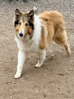 processed/4034fb49-b222-4e47-b562-6735001ea8b5/listing/254a1dd4-b5f2-49d7-8c6e-af1e349005fa/c13ee3e3-d49e-4a8d-8c3a-5f8f832356f2