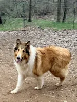 processed/4034fb49-b222-4e47-b562-6735001ea8b5/listing/254a1dd4-b5f2-49d7-8c6e-af1e349005fa/c67691d2-b2b4-4d30-b2dd-95574bbd2d19