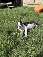 processed/4044d616-4190-45b1-8aaa-adc07f7afd2d/listing/b54807a6-ebb1-42e5-b9f7-7bfac9eb4f2c/38c163fe-45b7-4f17-ba77-55efce9d2e53