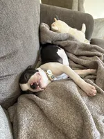 processed/4044d616-4190-45b1-8aaa-adc07f7afd2d/listing/b54807a6-ebb1-42e5-b9f7-7bfac9eb4f2c/88e164bb-61bc-4db8-867e-da1a25631745