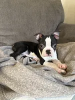 processed/4044d616-4190-45b1-8aaa-adc07f7afd2d/listing/b54807a6-ebb1-42e5-b9f7-7bfac9eb4f2c/c3799677-2ad9-4404-b1ad-eebe1fc01a77