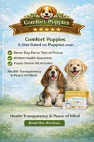 Playful Bichon × Bull Terrier Boy – Fun, Loving, Great Personality, a female Bichon Frise and Bull Terrier for sale in Moreno Valley, CA – Photo 2 of 2