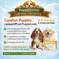 processed/404d21b5-c34b-4a70-9718-7e6595c15eeb/listing/5fda8c2a-8228-41cb-9ee6-f94f6932a7d6/c0846727-efa0-4756-b6ea-83e94c260d57