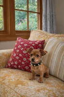 Small Red min pin , a male Chihuahua and Miniature Pinscher for sale in Moreno Valley, CA – Photo 1 of 5