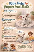 Snowy 01, a male Chihuahua for sale in Moreno Valley, CA – Photo 2 of 3