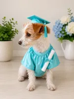 Tiny Oliver , a male Jack Russell Terrier and Chihuahua for sale in Moreno Valley, CA – 2 of 2