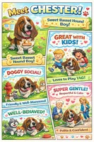 Basset Hound boy Lowrider, a male Basset Hound for sale in Moreno Valley, CA – Photo 3 of 4