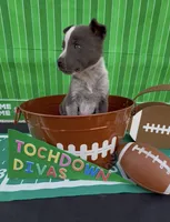 processed/404d21b5-c34b-4a70-9718-7e6595c15eeb/listing/ef8be46e-b55e-42b3-8657-60c8c9d6119d/2e1dcd2a-48fe-41ec-82cb-fef9ff45732e