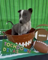 processed/404d21b5-c34b-4a70-9718-7e6595c15eeb/listing/ef8be46e-b55e-42b3-8657-60c8c9d6119d/9e062181-6a9a-405f-a388-61d6c17ad24d