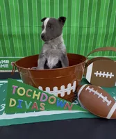 processed/404d21b5-c34b-4a70-9718-7e6595c15eeb/listing/ef8be46e-b55e-42b3-8657-60c8c9d6119d/cdaed20f-e6b1-4e53-b565-70ca3cf9a7dd