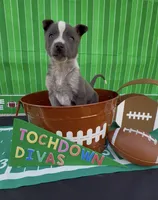 processed/404d21b5-c34b-4a70-9718-7e6595c15eeb/listing/ef8be46e-b55e-42b3-8657-60c8c9d6119d/e97144ae-9956-49c0-a545-f61a7750962a