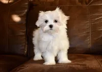 processed/404e350d-1fd3-4a1b-b7cd-b4759bde331c/listing/0d240322-2e93-4f2a-8c4c-8507246a66df/194483c7-a250-49cc-9b07-6e37e97ea367