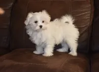 processed/404e350d-1fd3-4a1b-b7cd-b4759bde331c/listing/0d240322-2e93-4f2a-8c4c-8507246a66df/1ae730fd-bf8a-4cc0-a773-376489d580e2