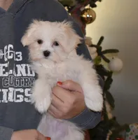 processed/404e350d-1fd3-4a1b-b7cd-b4759bde331c/listing/0d240322-2e93-4f2a-8c4c-8507246a66df/438e34f6-3cb8-4dc8-a95a-7c551102bc80