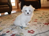 processed/404e350d-1fd3-4a1b-b7cd-b4759bde331c/listing/0d240322-2e93-4f2a-8c4c-8507246a66df/57927cba-6397-4713-84ae-f507d538fc0d