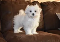 processed/404e350d-1fd3-4a1b-b7cd-b4759bde331c/listing/0d240322-2e93-4f2a-8c4c-8507246a66df/6400d111-a1e1-4433-9610-6e7e5a0910b1