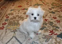 processed/404e350d-1fd3-4a1b-b7cd-b4759bde331c/listing/0d240322-2e93-4f2a-8c4c-8507246a66df/8468a5b5-10d3-4f60-86a5-d79cf56b0641