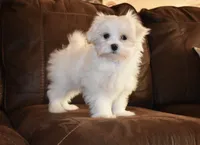 processed/404e350d-1fd3-4a1b-b7cd-b4759bde331c/listing/0d240322-2e93-4f2a-8c4c-8507246a66df/f99de60e-9d0e-46c2-b4a1-a43d572129d2