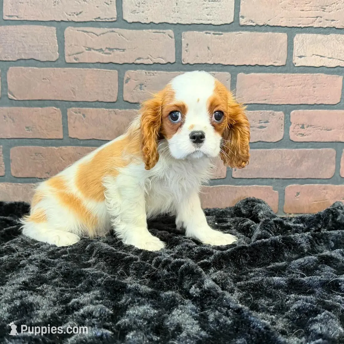 processed/404e350d-1fd3-4a1b-b7cd-b4759bde331c/listing/7c0b26bb-0ddd-4280-950e-f6d6f90eb348/42ec55a5-6372-424d-93c7-718c7632122f