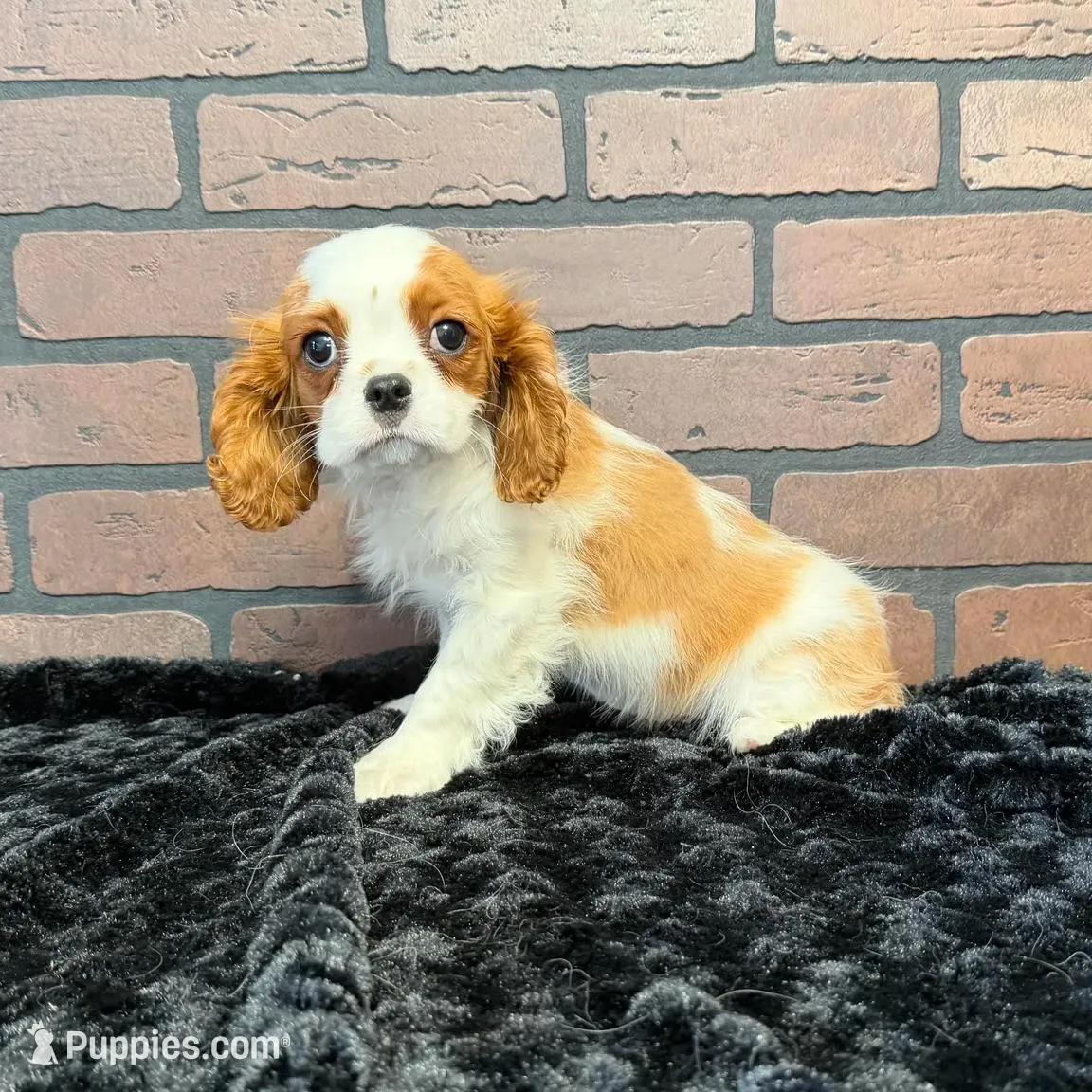 processed/404e350d-1fd3-4a1b-b7cd-b4759bde331c/listing/7c0b26bb-0ddd-4280-950e-f6d6f90eb348/84121b01-55a1-4973-aaa9-29d4d5e221b2