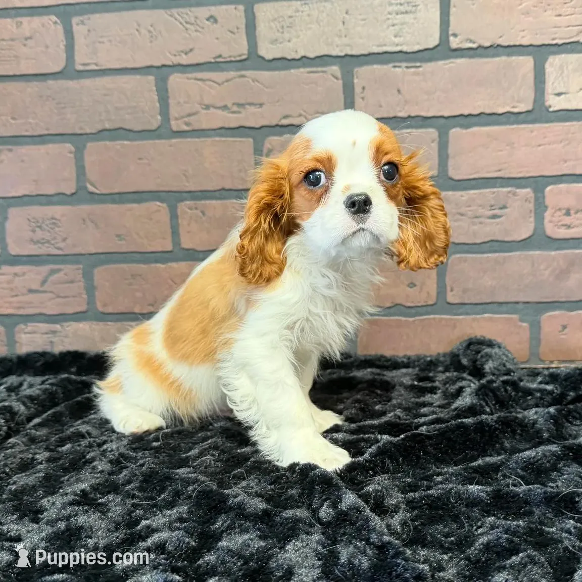 processed/404e350d-1fd3-4a1b-b7cd-b4759bde331c/listing/7c0b26bb-0ddd-4280-950e-f6d6f90eb348/b162576e-6e54-4f16-96b4-0579afceaca3