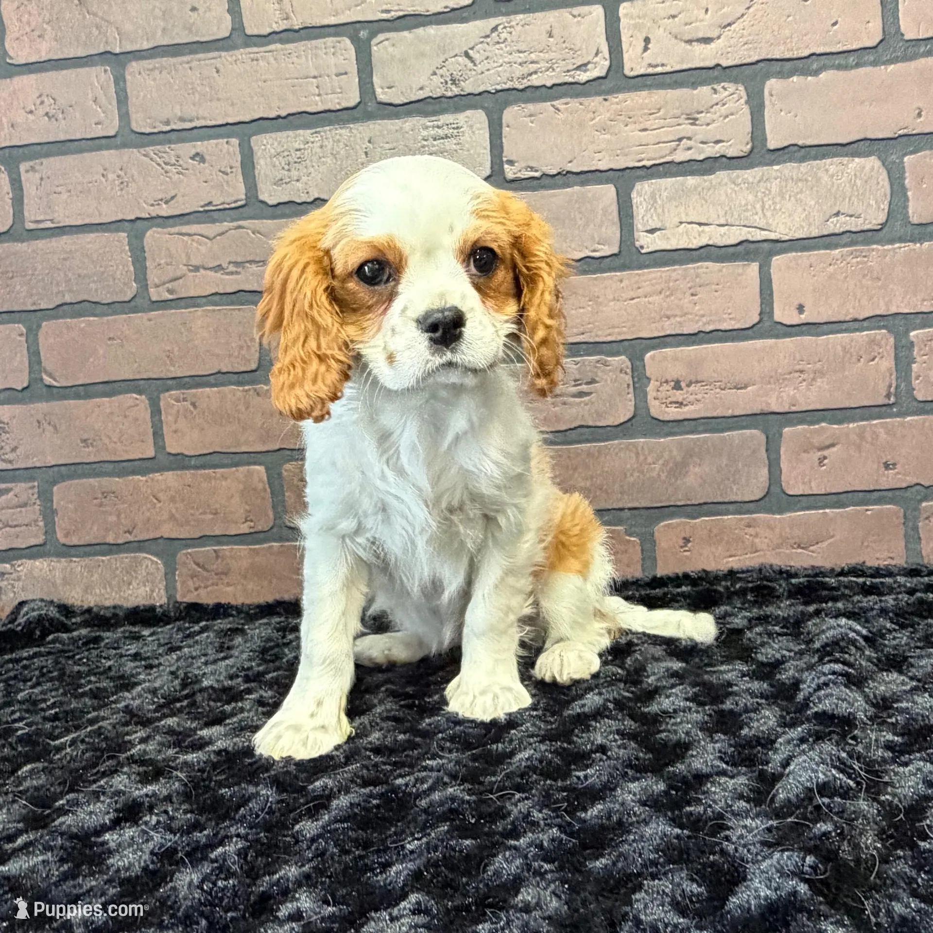 processed/404e350d-1fd3-4a1b-b7cd-b4759bde331c/listing/8f81adb3-9686-4177-a57a-f24559d1e668/fd3c3915-b27e-4e17-a31a-acfa96804d8f