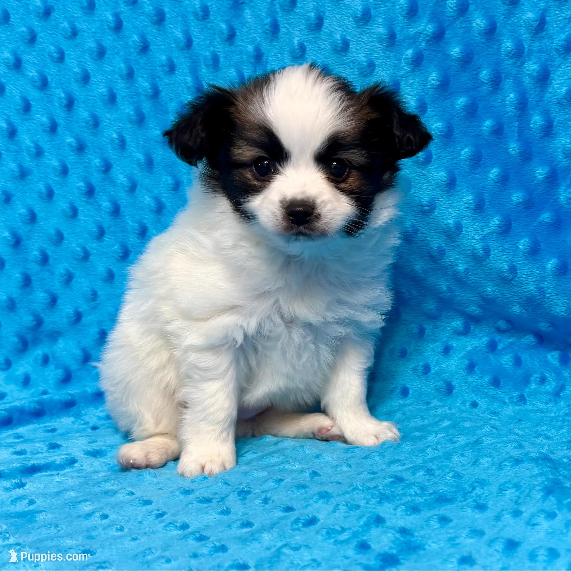 processed/404e350d-1fd3-4a1b-b7cd-b4759bde331c/listing/cf788f5a-7942-41d9-ae4e-021728539fe4/6f2f5b5a-0031-4eb5-9a19-b659a69ddeff