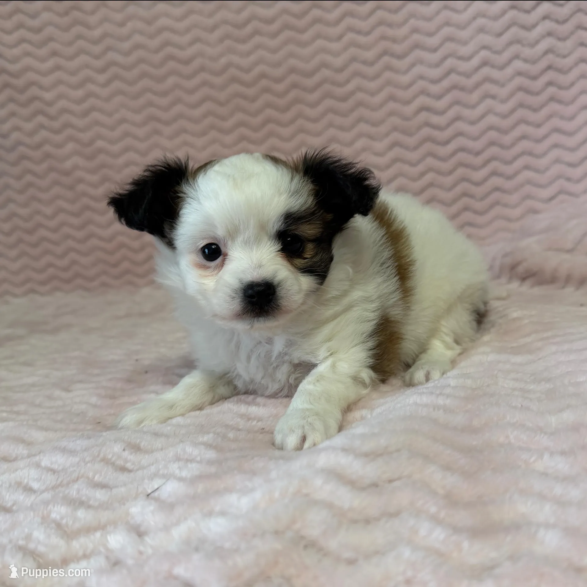 processed/404e350d-1fd3-4a1b-b7cd-b4759bde331c/listing/cf788f5a-7942-41d9-ae4e-021728539fe4/95feb1ed-e4d4-48c7-96d3-9c767d2a3fd3