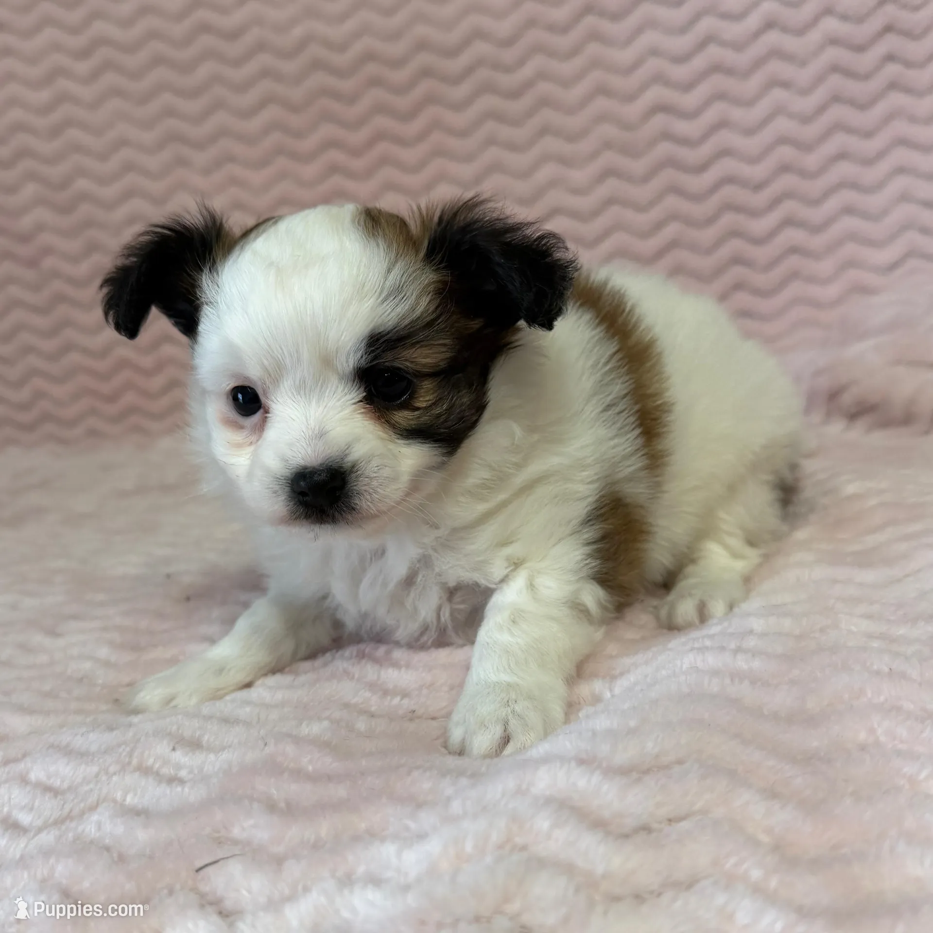 processed/404e350d-1fd3-4a1b-b7cd-b4759bde331c/listing/cf788f5a-7942-41d9-ae4e-021728539fe4/da9e9c45-3d78-4aca-9cce-c020e501daa0