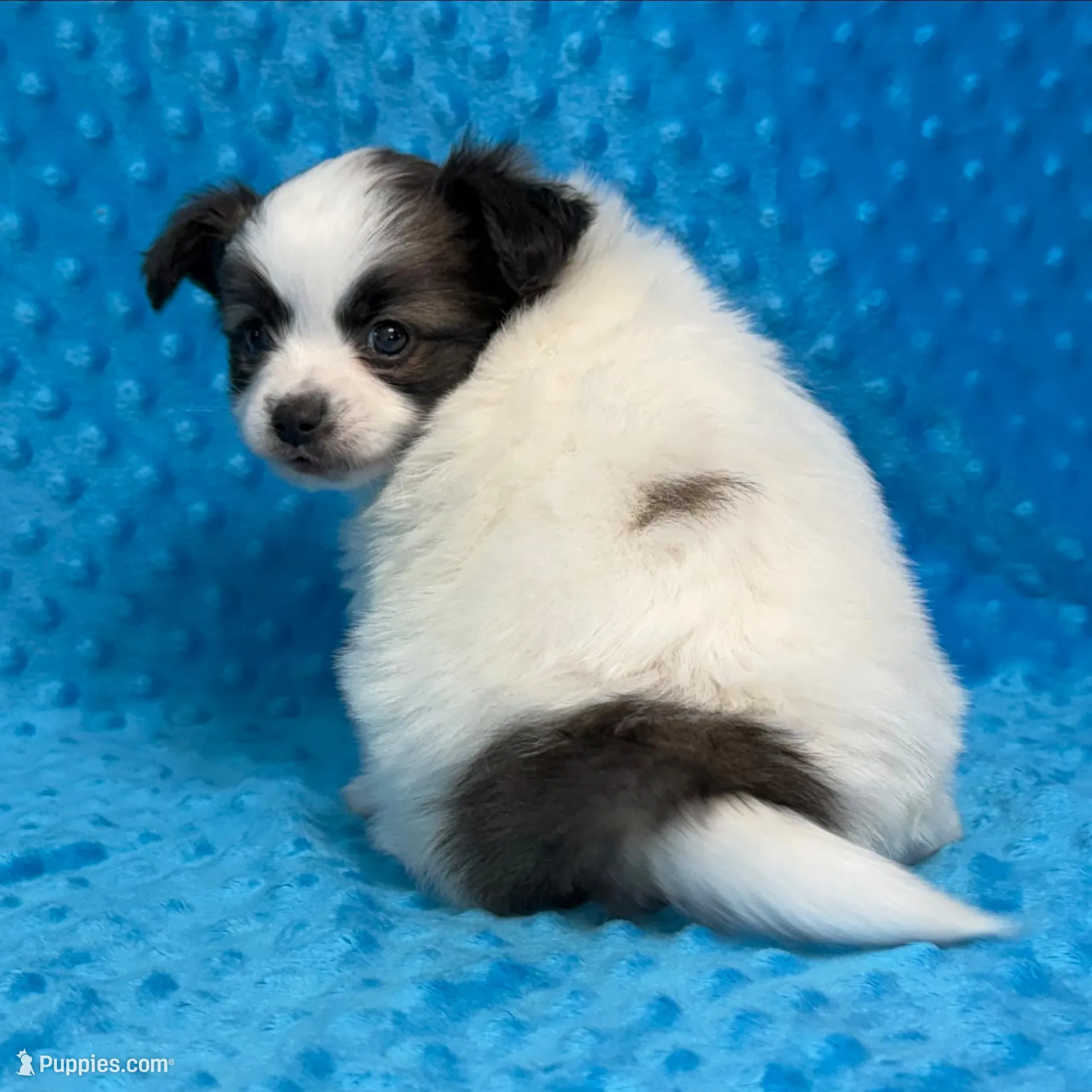 processed/404e350d-1fd3-4a1b-b7cd-b4759bde331c/listing/f0fdbc64-d6c1-4938-975c-d84b4a8eca59/132ffc12-9500-46a3-99d2-046cf286a147