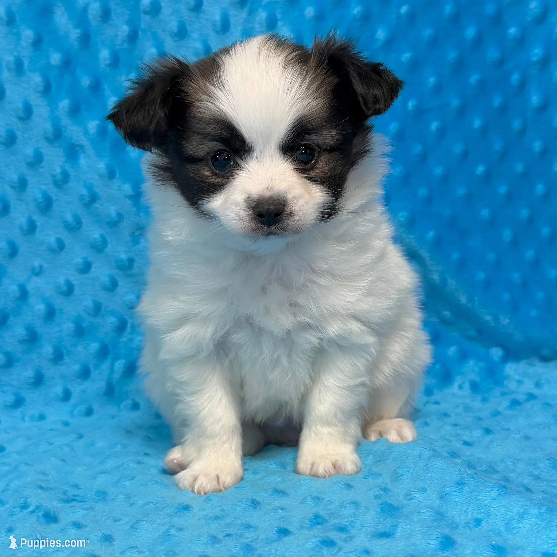 processed/404e350d-1fd3-4a1b-b7cd-b4759bde331c/listing/f0fdbc64-d6c1-4938-975c-d84b4a8eca59/29a07d62-b2d9-4650-a37f-1da1e67b265c