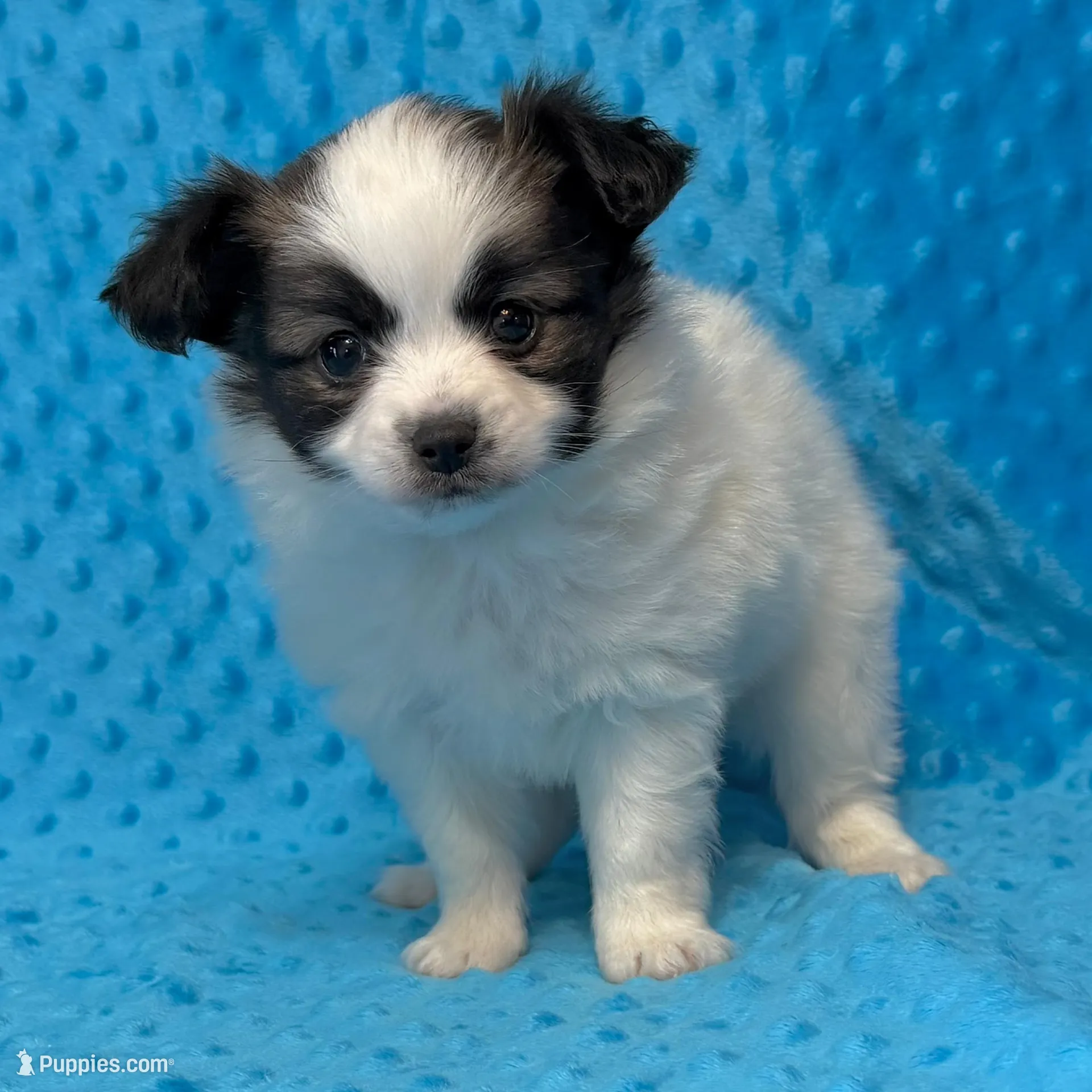 processed/404e350d-1fd3-4a1b-b7cd-b4759bde331c/listing/f0fdbc64-d6c1-4938-975c-d84b4a8eca59/52f5dc12-420e-4189-8afd-ded73381df8c