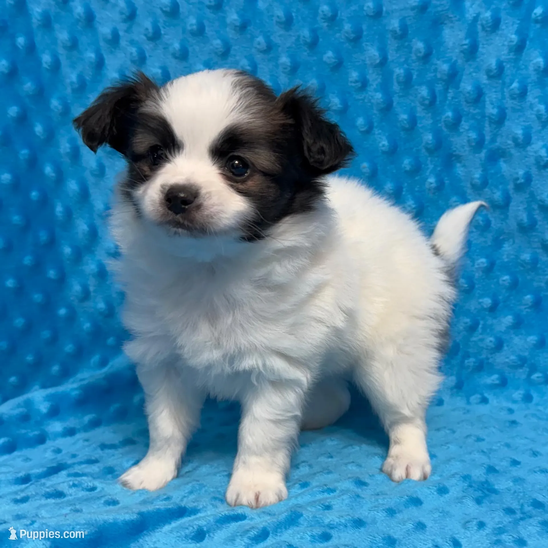 processed/404e350d-1fd3-4a1b-b7cd-b4759bde331c/listing/f0fdbc64-d6c1-4938-975c-d84b4a8eca59/e0cfe213-f666-4ef5-bb7d-519a0708c6de