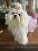 processed/4056608a-033e-4216-b6bb-d53ded7a42d2/facility/23407377-4d25-423a-9ac8-81087d8bb762