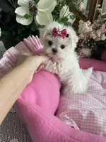 processed/4056608a-033e-4216-b6bb-d53ded7a42d2/facility/50fb522e-141f-4498-9a01-2268e66a1a4e