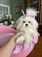 processed/4056608a-033e-4216-b6bb-d53ded7a42d2/facility/6bb8be8c-f3ba-41bc-a9f2-bca277a9147f