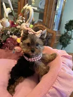 processed/4056608a-033e-4216-b6bb-d53ded7a42d2/facility/730637a3-91b2-4246-abc1-3bd05f9ccbc4