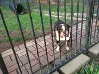 processed/406a8aa1-fe11-4aec-836e-da8639fa8b6e/facility/21d3392c-d5d1-4745-9239-99779ce45211