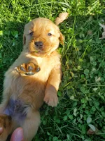 processed/406c6892-608c-433b-af1f-f1e122821d5f/facility/07321368-6fd2-4487-a5b7-1be8f5fe82f2