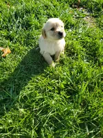 processed/406c6892-608c-433b-af1f-f1e122821d5f/facility/353f099e-d69a-4ae8-916d-0e087ec95291