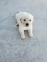 processed/406c6892-608c-433b-af1f-f1e122821d5f/facility/39b636ed-d54f-4110-94e5-cd7832690648