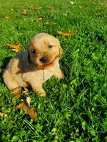 processed/406c6892-608c-433b-af1f-f1e122821d5f/facility/6338ba57-0c8d-4841-aed8-7d8d4505bf09