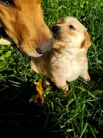 processed/406c6892-608c-433b-af1f-f1e122821d5f/facility/91569de3-617e-4a01-9a0a-021577468f04