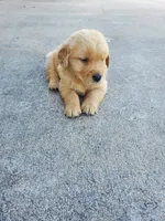 processed/406c6892-608c-433b-af1f-f1e122821d5f/facility/9617c347-e75a-475e-8b58-6b7ea22973c1