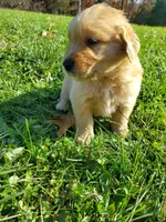 processed/406c6892-608c-433b-af1f-f1e122821d5f/facility/d5e6e25e-de86-4852-ac03-0b9687fa211e