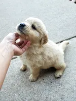 processed/406c6892-608c-433b-af1f-f1e122821d5f/facility/d80a455b-f3f0-49da-b94e-32ac7ad1fab0